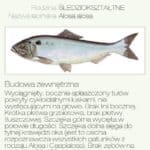 Poradnik-Wedkarza-APK-aplikacja-na-Androida-7